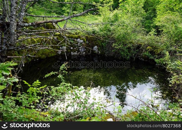Small lake in the forest in Montenegro