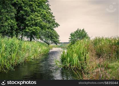 Small lake stream with rushes in cloudy weather