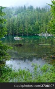Small mountain forest lake in Franch Alps (misty summer morning).