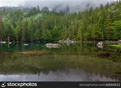 Small mountain forest lake in French Alps (misty summer morning).