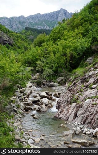 Small mountain river in mountain of Montenegro