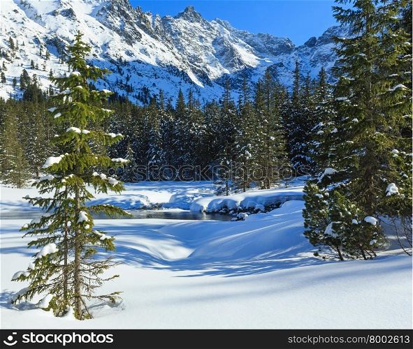 Small mountain stream and fir forest on winter snowy rocky slope.