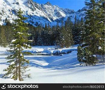 Small mountain stream and fir forest on winter snowy rocky slope.