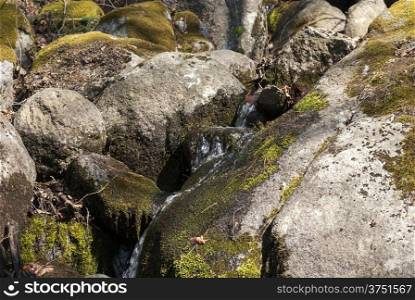 Small mountain stream between mossy moraine rocks