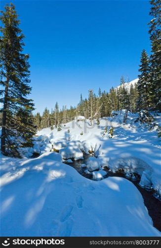 Small mountain stream with fir forest on winter snowy rocky slope.