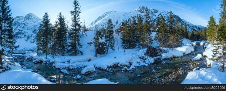 Small mountain stream with snowdrift and fir trees. Winter landscape panorama.