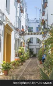 small narrow spanish street with white houses and flowers at the walls