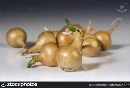 Small onions on white background