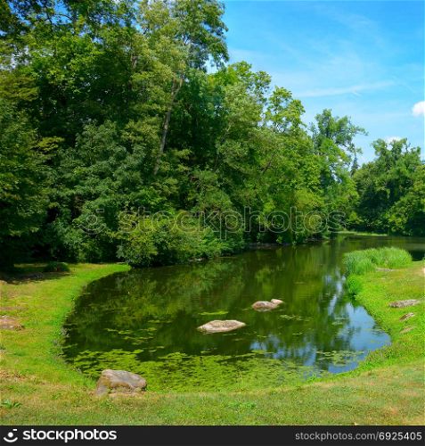 Small picturesque lake in a city park and bright blue sky.