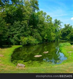 Small picturesque lake in a city park and bright blue sky.