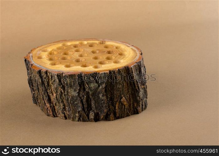 small piece of cut wood log used for wood texture background