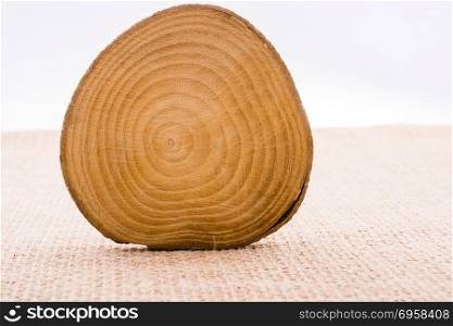 Small piece of cut wood logs . small piece of cut wood logs used for wood texture background