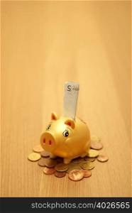 small piggy bank on money