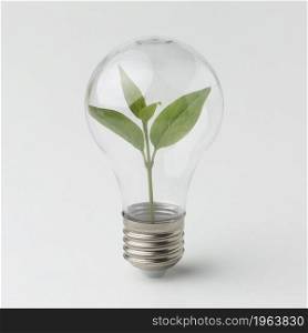 small plant inside light bulb. High resolution photo. small plant inside light bulb. High quality photo