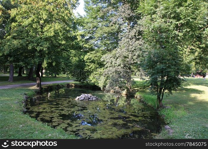 Small pond with water lily in the park