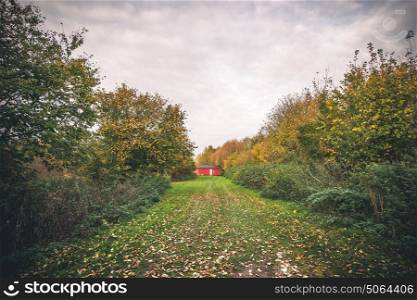 Small red cabin in a garden in the fall with autumn leaves in the grass