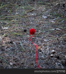 small red wool ball unwound in the middle of the forest, the thread lies on the path
