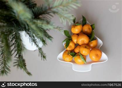 Small ripe tangerines with leaves, on plate in shape of Christmas tree on beige background. Concept winter vitamin food. Moody still life festive composition. For greeting card, book, stories.