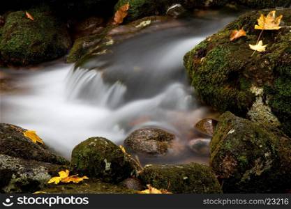small river in the portuguese national park