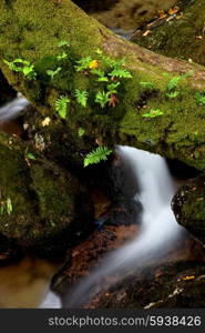 small river in the portuguese national park