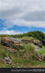 small rock formation in a green field