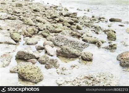 Small rocks by the sea. On the beach near the sea