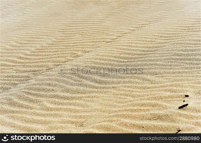 Small sand dunes on beach. Sand texture