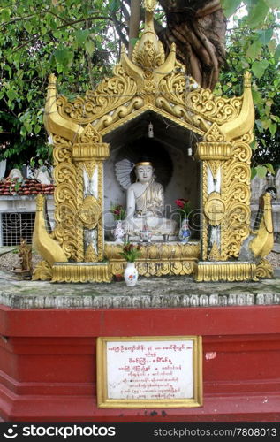 Small statue buddha under big tree in buddhist monastery, Yangon, Myanmar