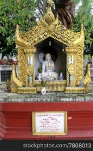 Small statue buddha under big tree in buddhist monastery, Yangon, Myanmar