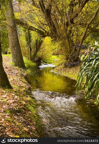 Small stream runs through a park in autumn / fall