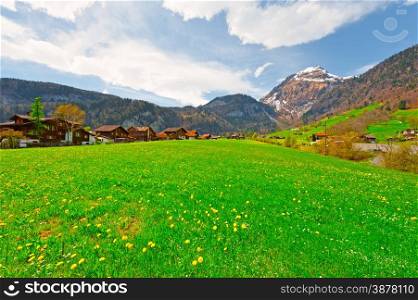 Small Swiss Town Surrounded by Meadows on the Background of Snow-capped Alps