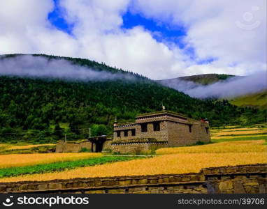 small village in big moutain at tibet,china