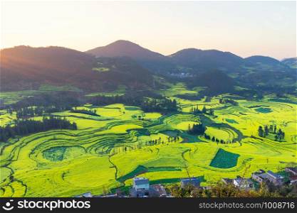 Small villages with Rapeseed flowers at Snail farm Luositian Field in Luoping County, China