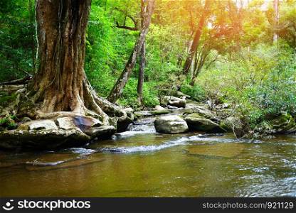 small waterfall background natural wonders thailand river stream in the forest