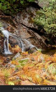 Small waterfall in the forest during autumn