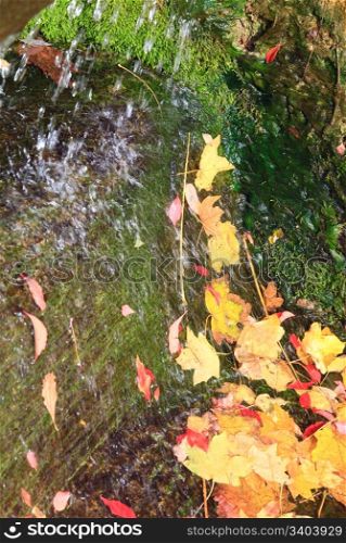 Small waterfall with abscissed yellow leaf in autumn park