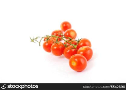 small wet fresh red tomato group isolated on white