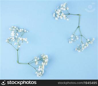 small white gypsophila blue background. High resolution photo. small white gypsophila blue background. High quality photo