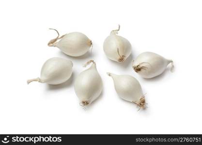 Small white onions often used to be pickled