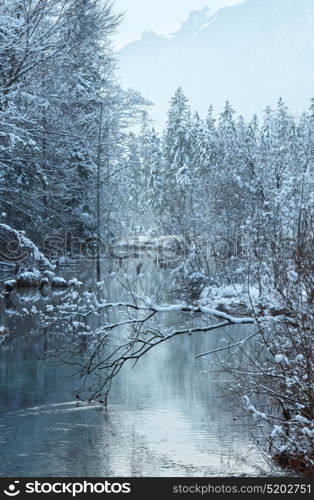 Small winter stream with snowy trees on bank.