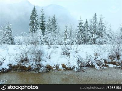 Small winter stream with snowy trees on bank and mountain in fog.