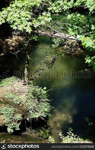 Small wooden bridge across a little lake in a tropical forest