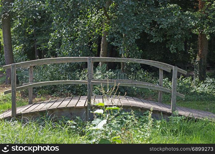 Small wooden bridge over a small brook in a forest