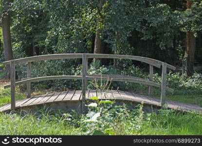 Small wooden bridge over a small brook in a forest