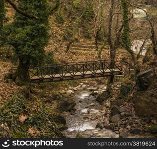 Small wooden bridge over a stream in a forest at winter season