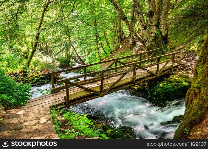 Small wooden bridge over river cascade in the forest of Montenegro. Wooden bridge in forest