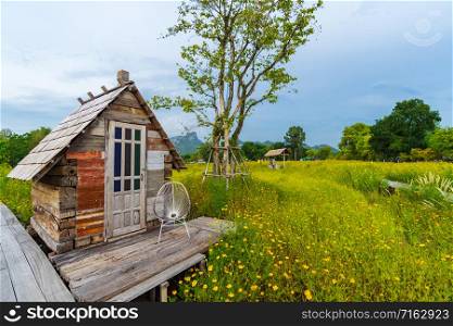 small wooden cottage with yellow cosmos flower field