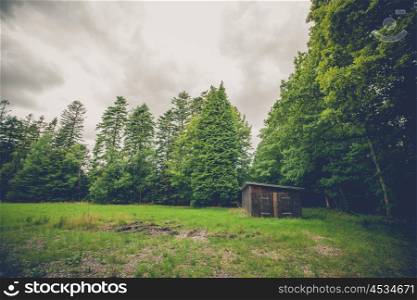 Small wooden shed on a field in a forest