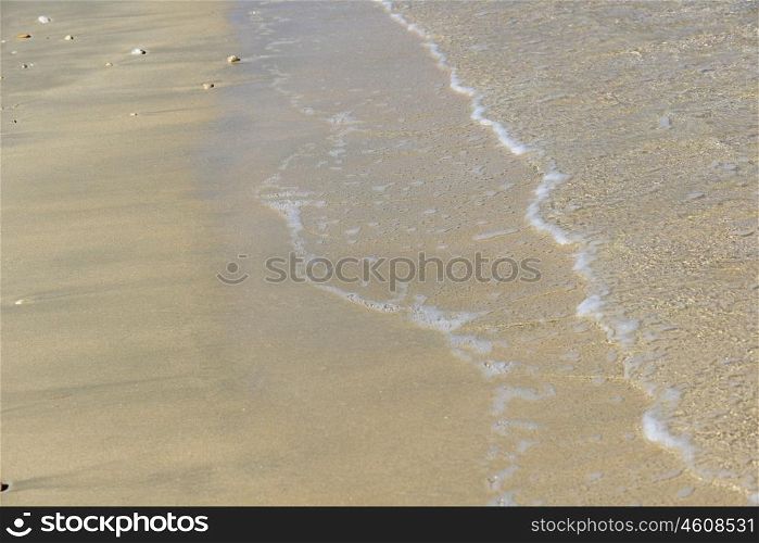 small yellow sand on sea shore