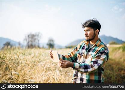Smart farmer checking barley farm with tablet computer